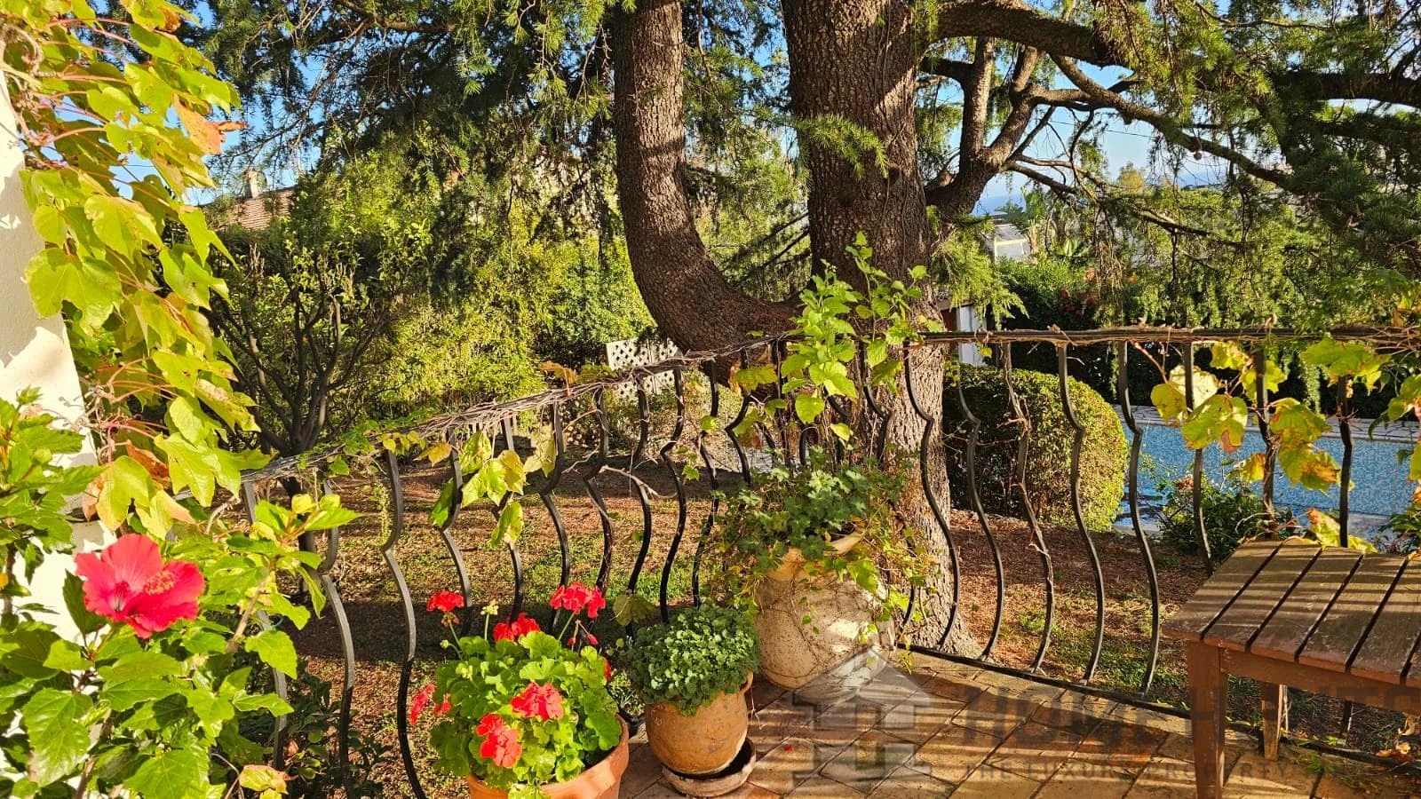 property_HH-15969477-8