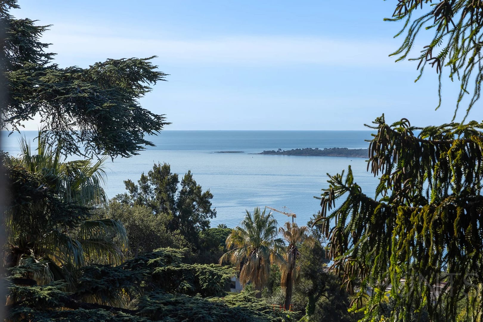 property_HH-16140836-3