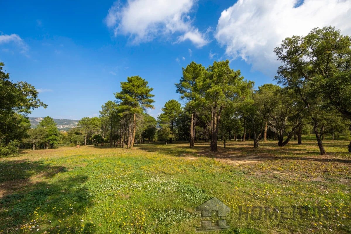 property_HH-15970604-29