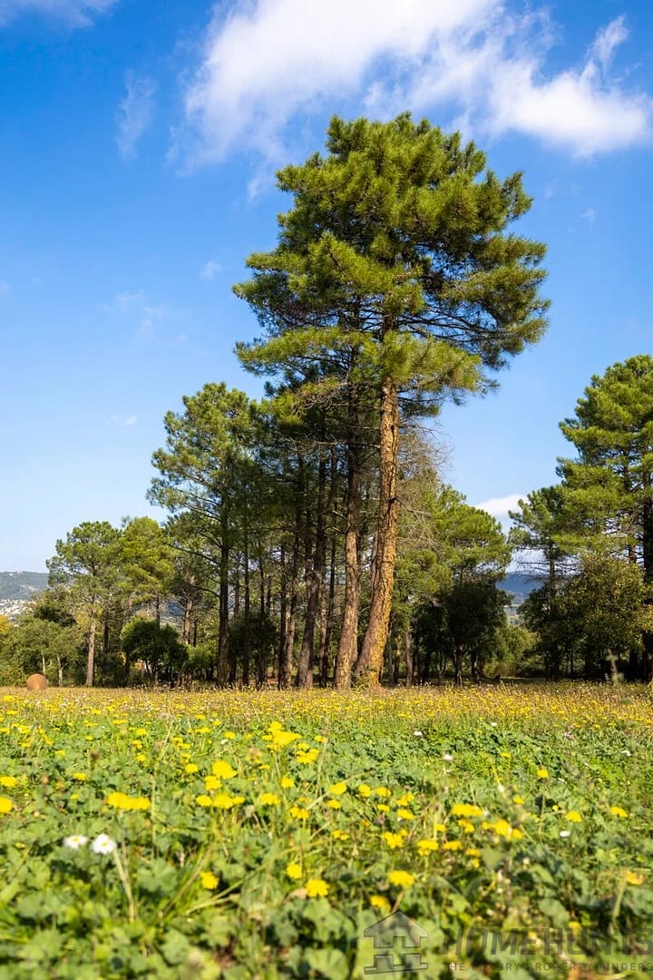 property_HH-15970604-30