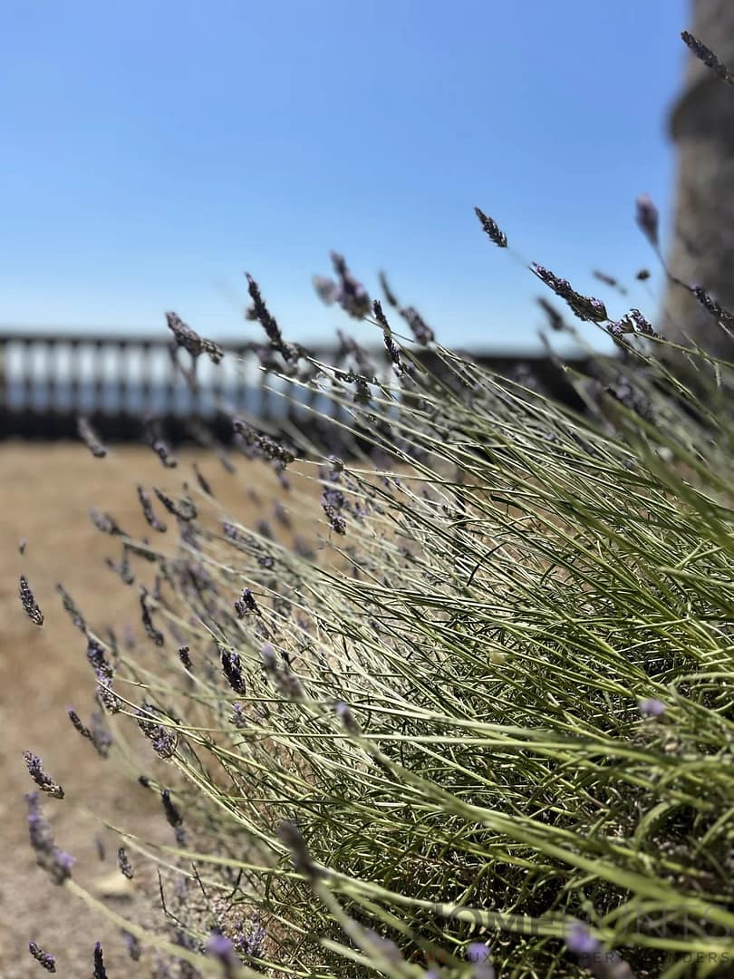 property_HH-16088561-11