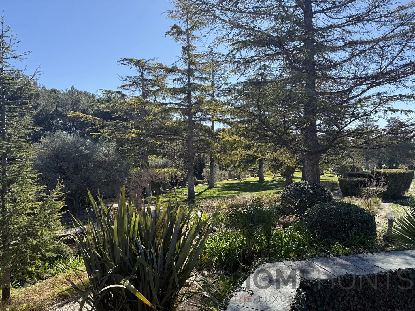 property_HH-16100624-11