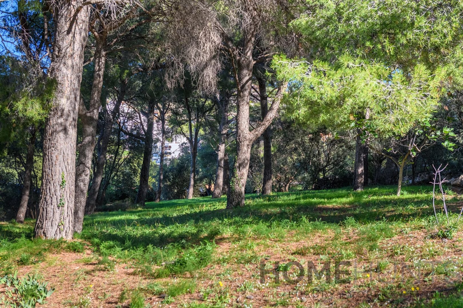 property_HH-16095738-2