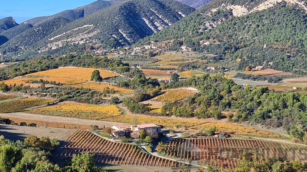 property_HH-15619151-3