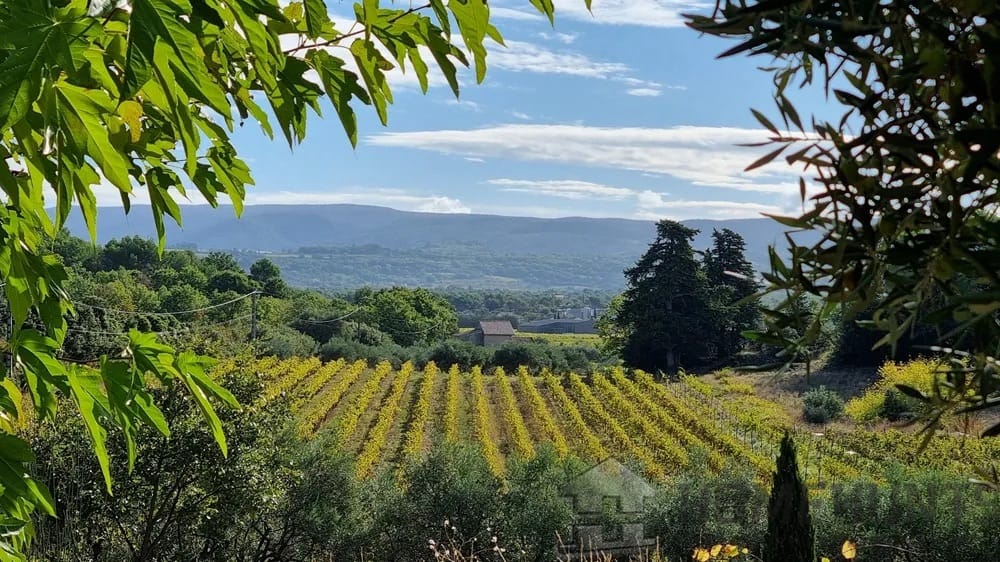 property_HH-15620239