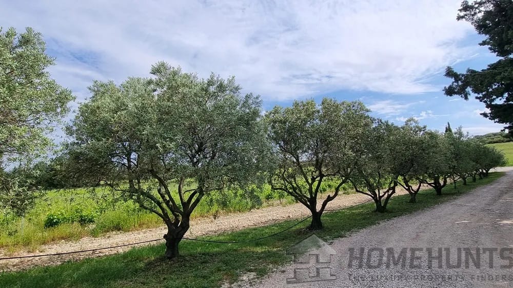 property_HH-15621402-3