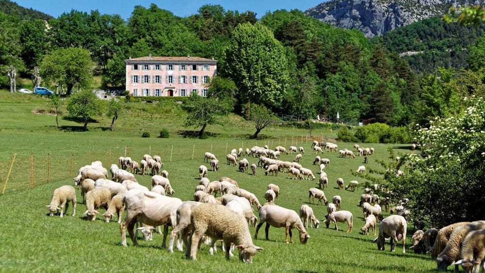 Helping you to find your dream french property 9