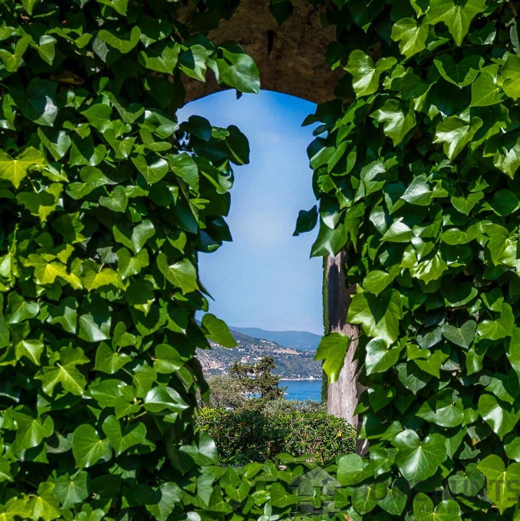 property_HH-15818035-19