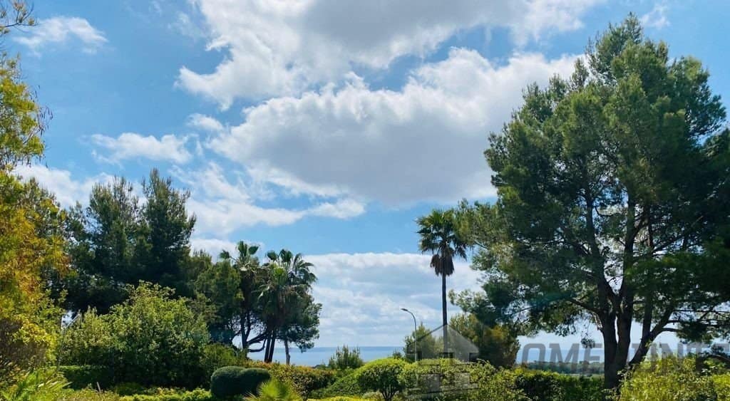 property_HH-14817469