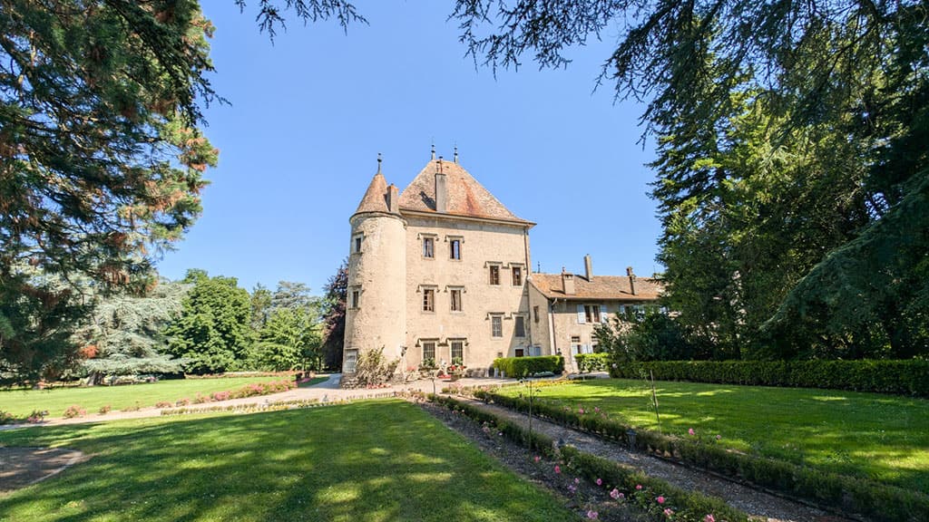 Buying a French Vineyard? What You Need to Know 4 vineyard property