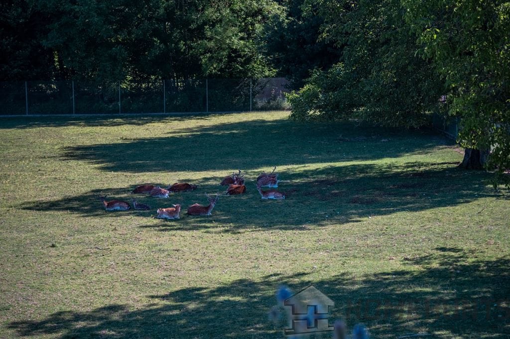 property_HH-15808925-17