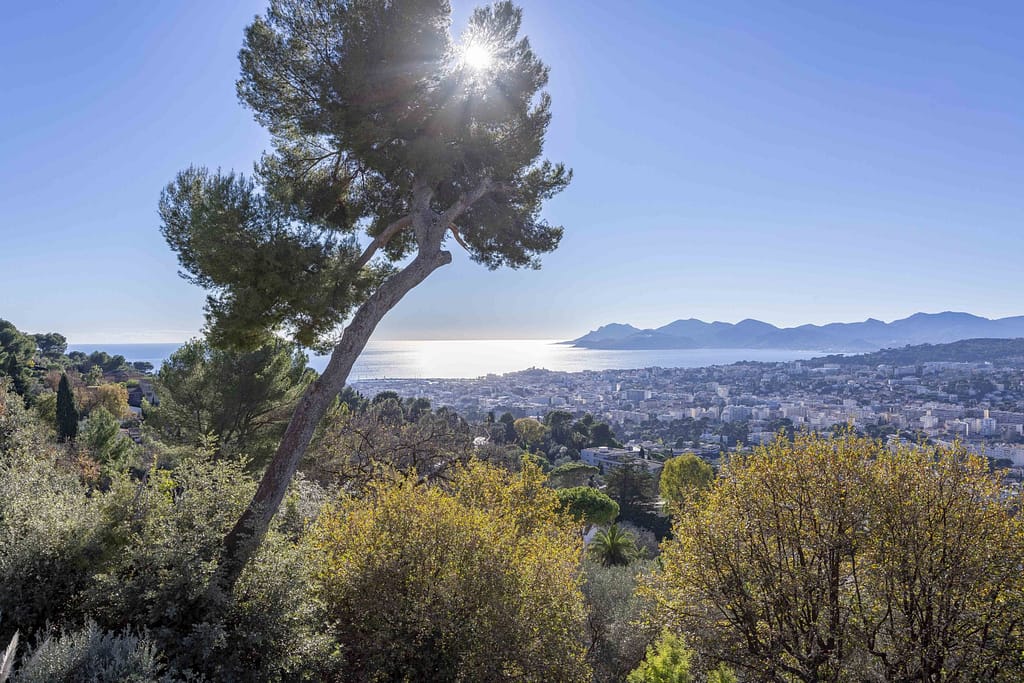 Helping you to find your dream french property 12