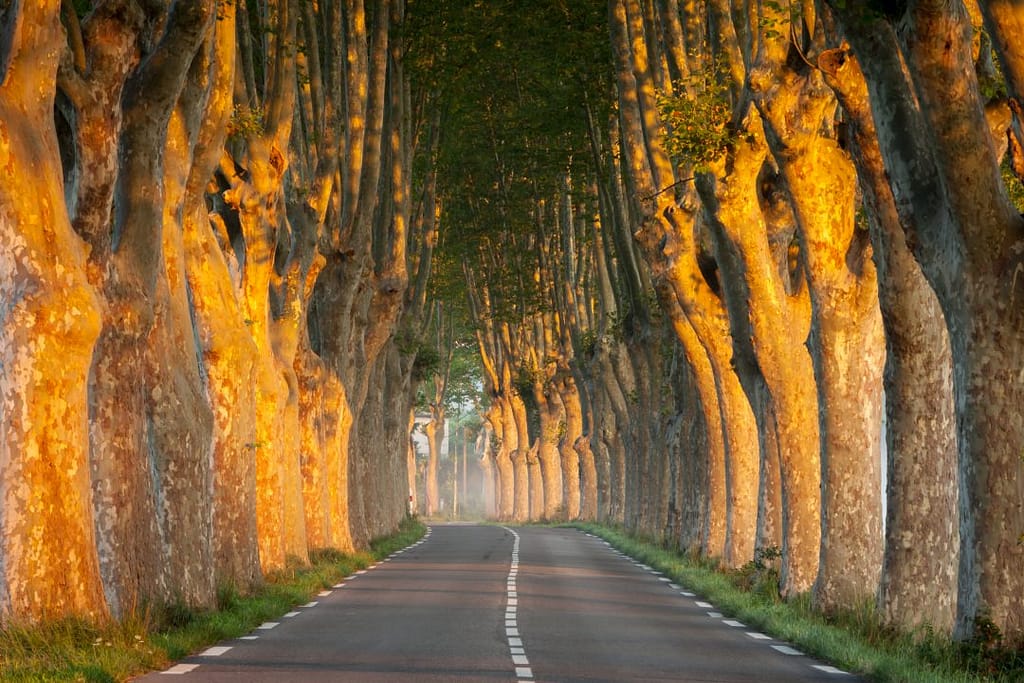 New tests make it easier to visit your French property 3 french property