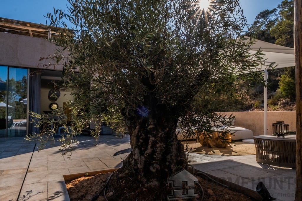 property_HH-15611446-10