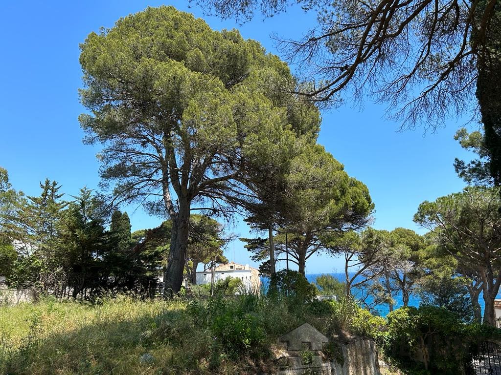 property_HH-14972746-13