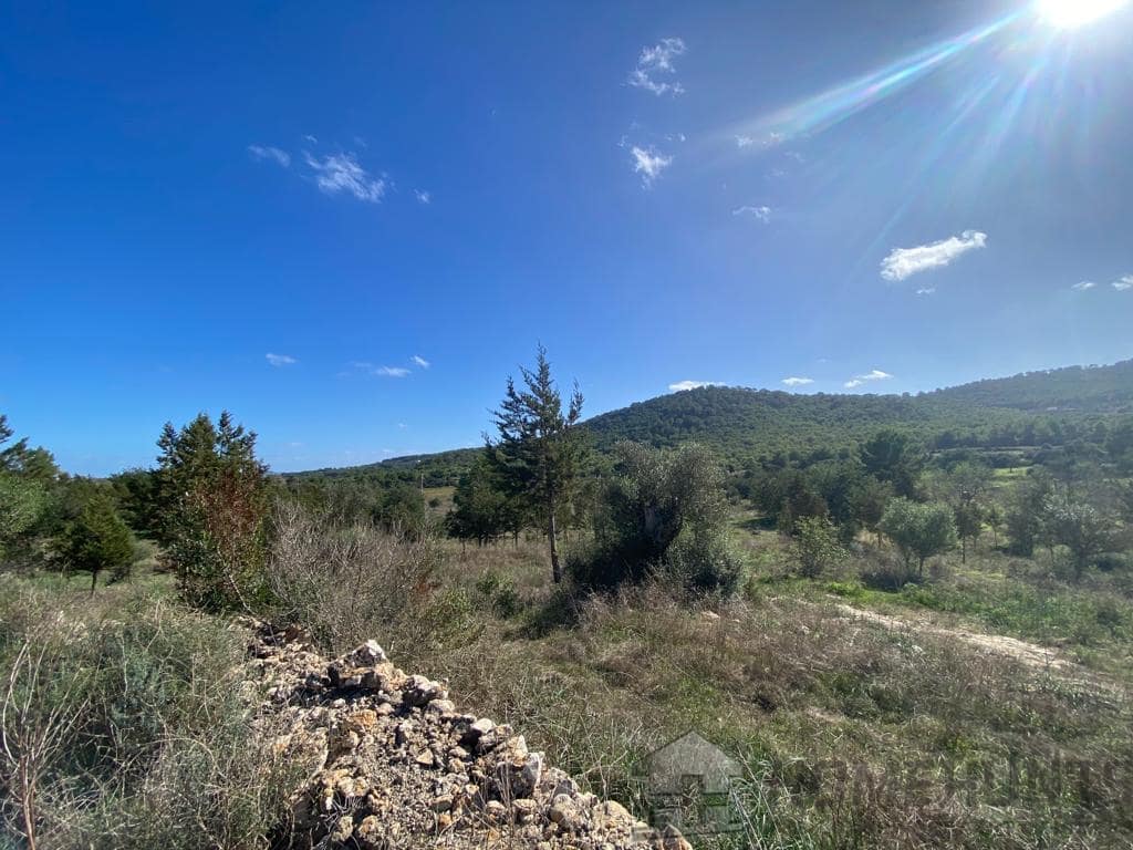 property_HH-15020807-2