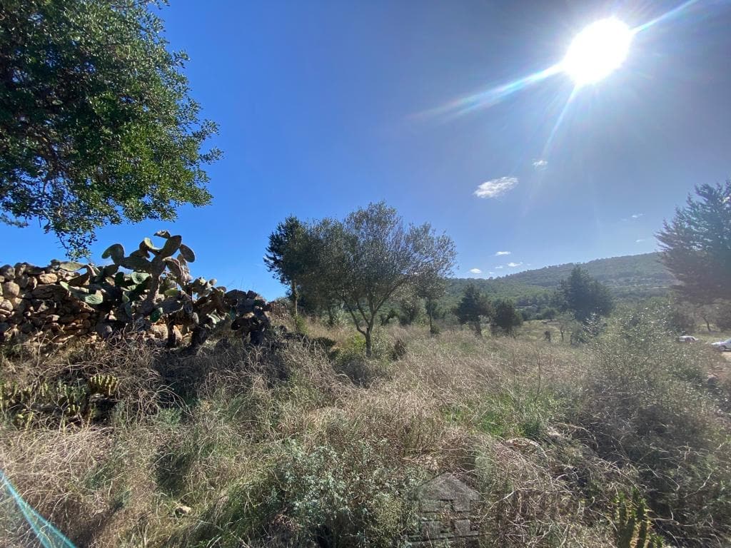 property_HH-15020807-3