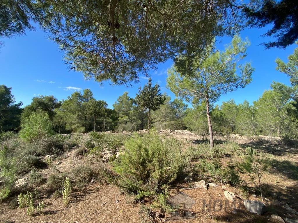 property_HH-15020807-7