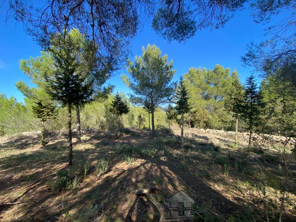 property_HH-15020807-8