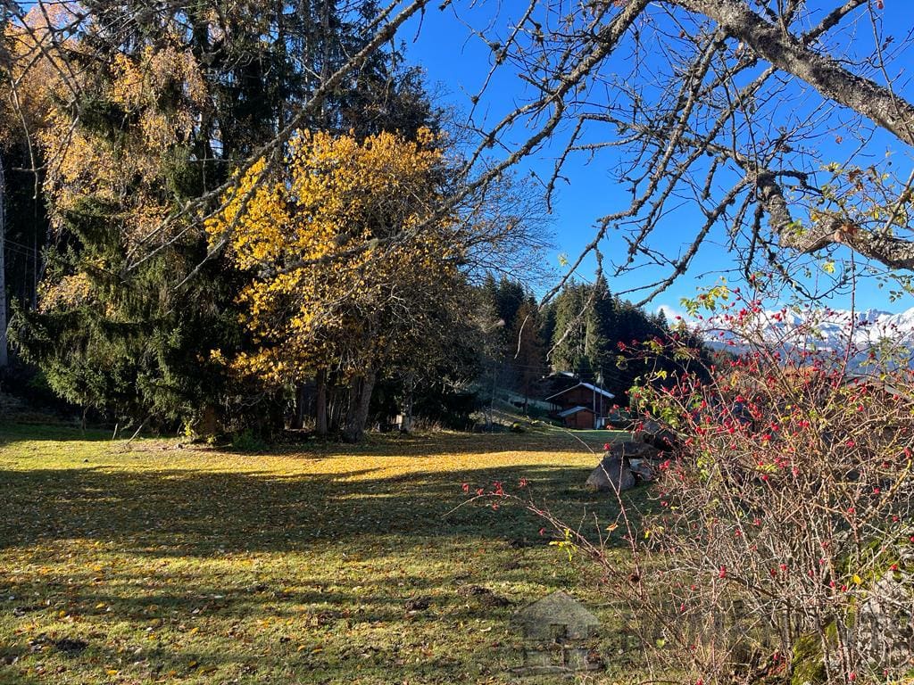 property_HH-14749023-2