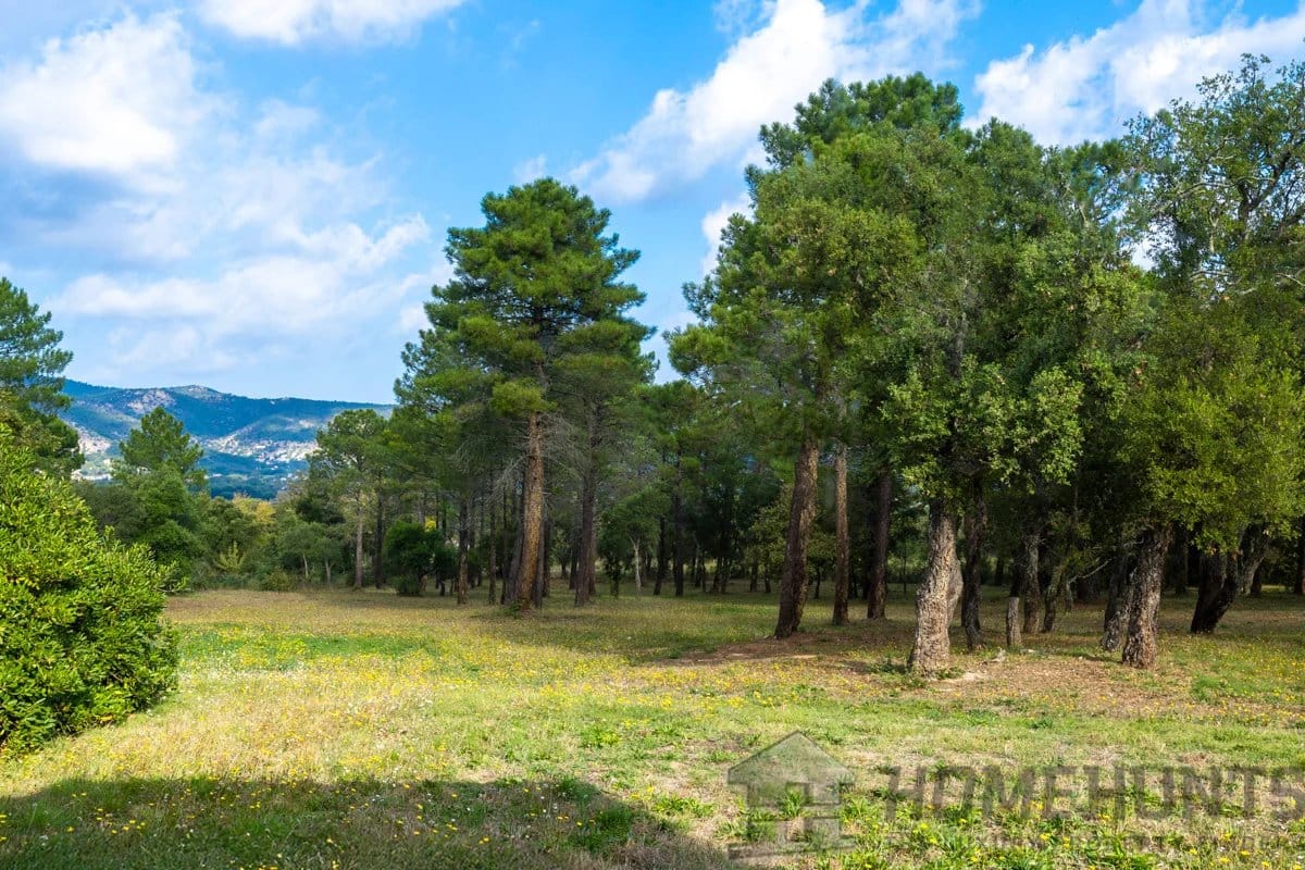 property_HH-15970604-25