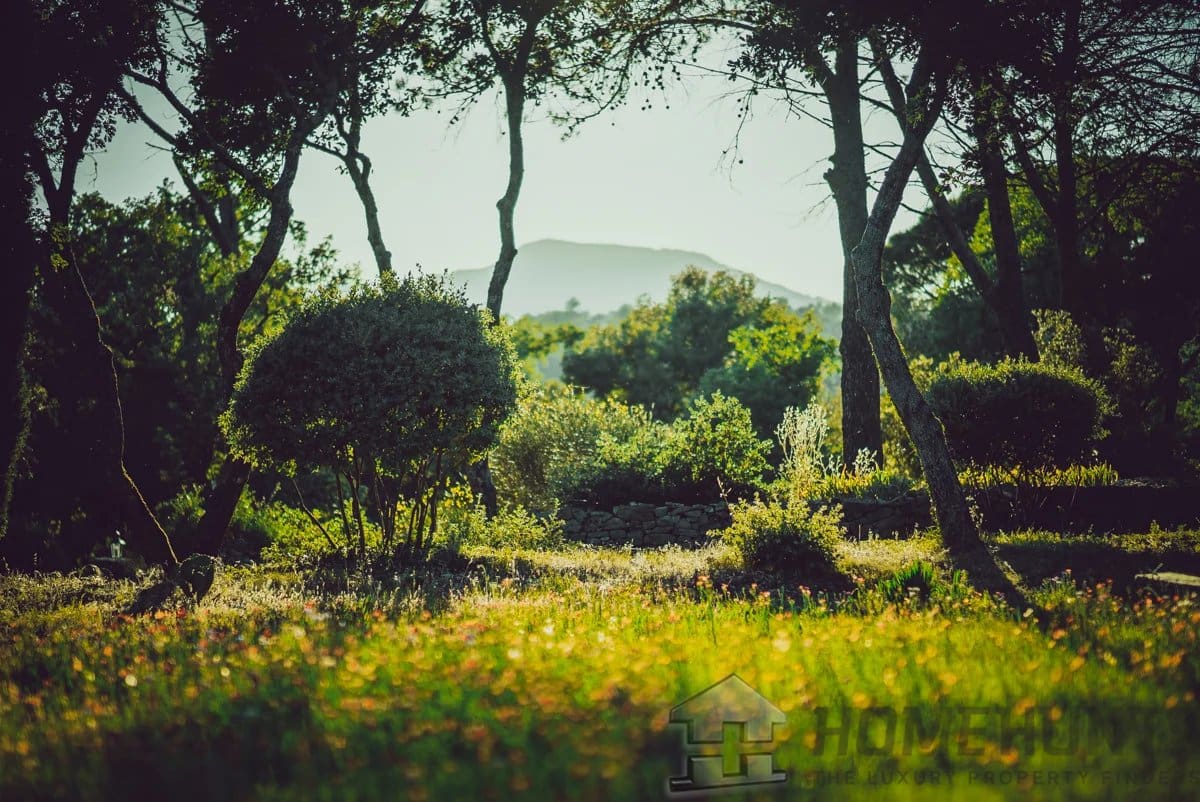 property_HH-15607951-17