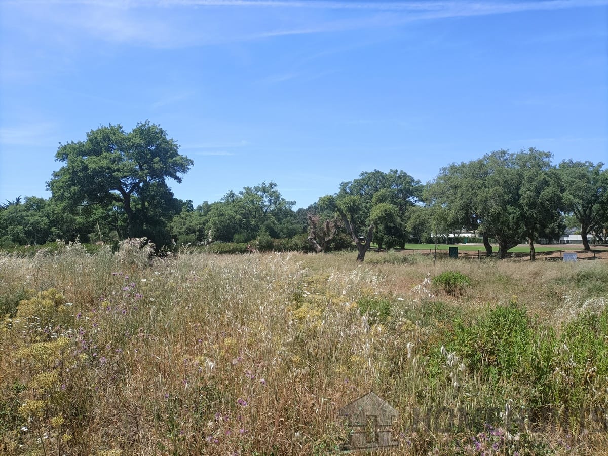 property_HH-15641783-10