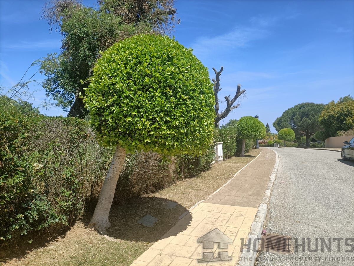 property_HH-15641783-11