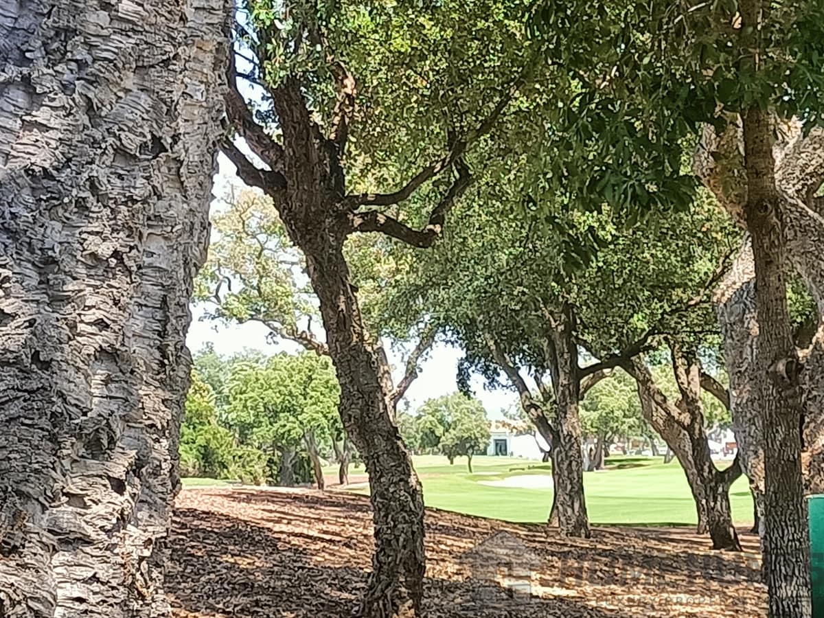 property_HH-15641783-4