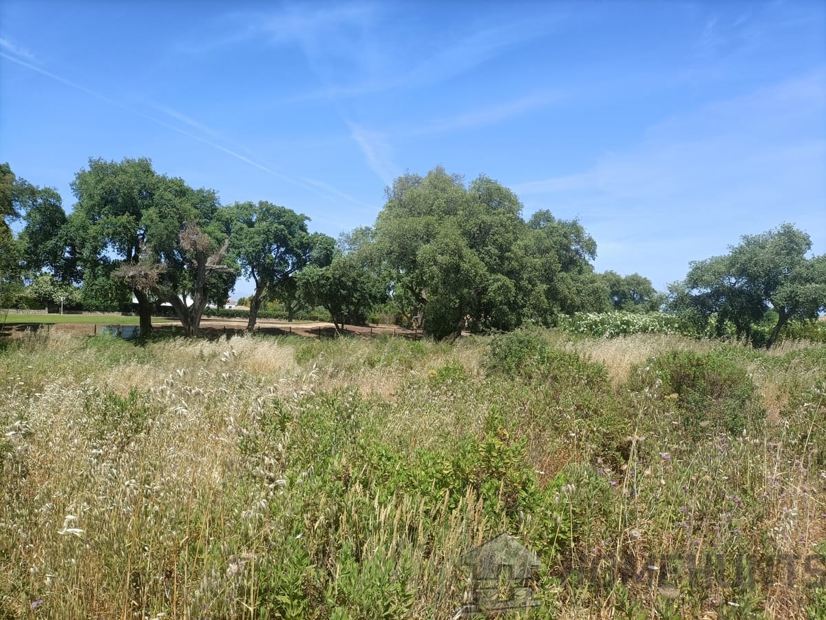 property_HH-15641783-6