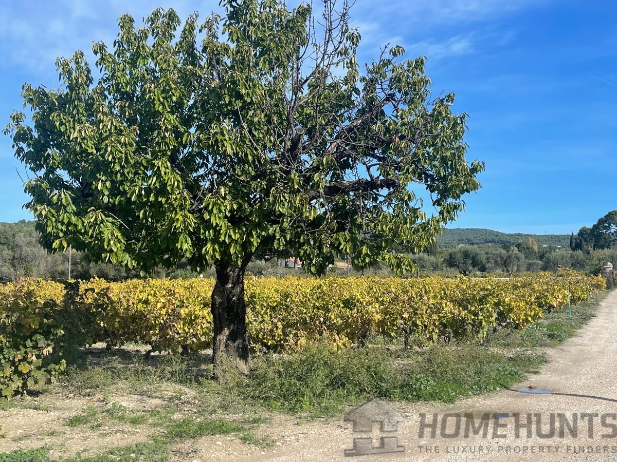 property_HH-15373632-2