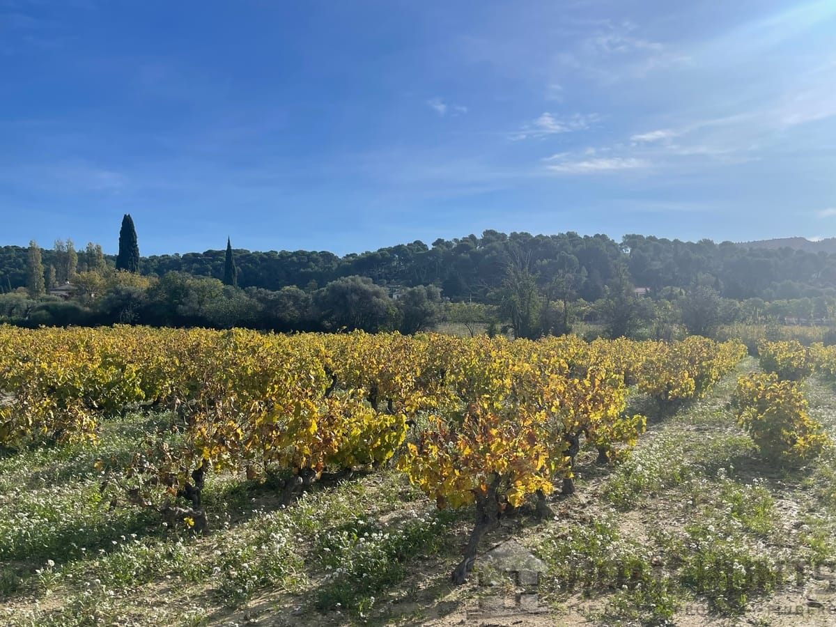 property_HH-15373632-5