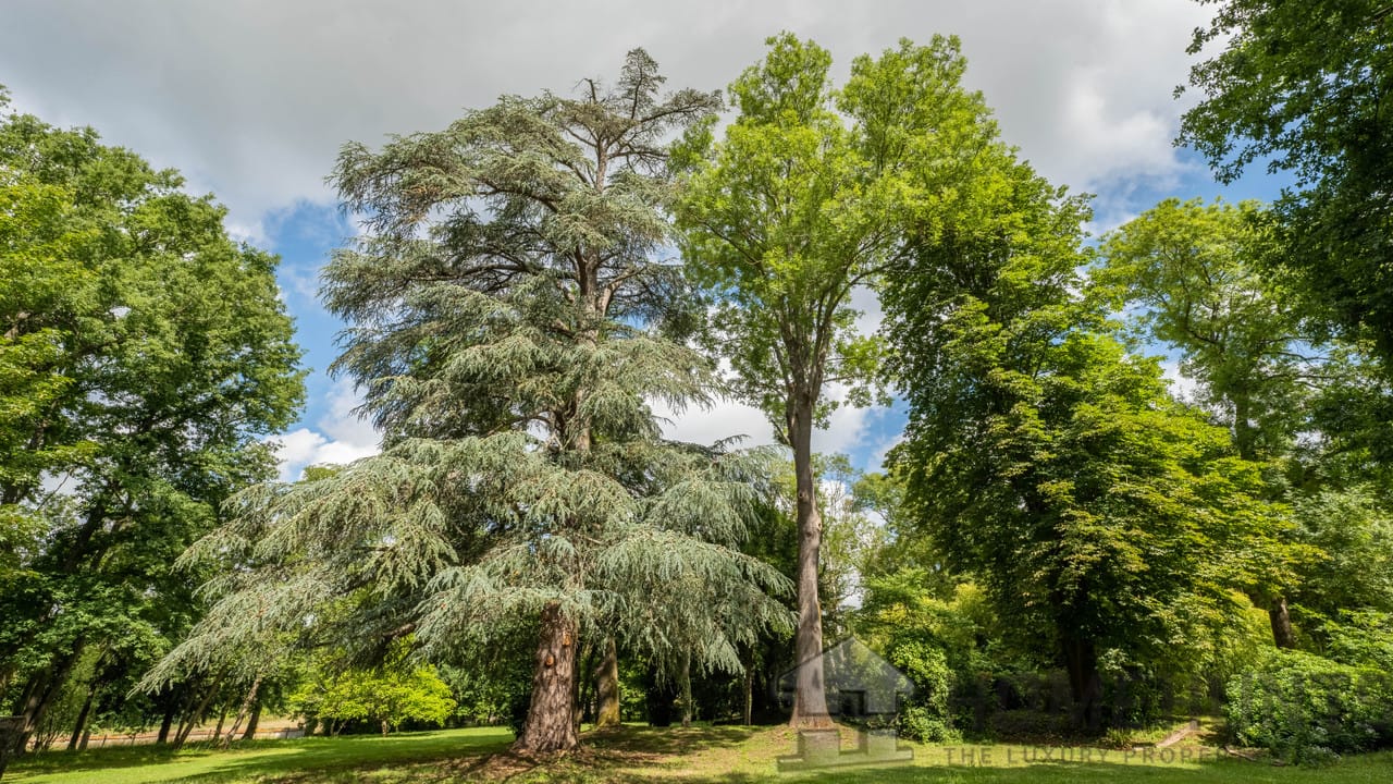 property_HH-15520714-8