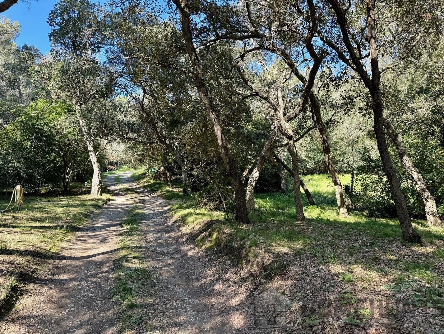 property_HH-15312906-16