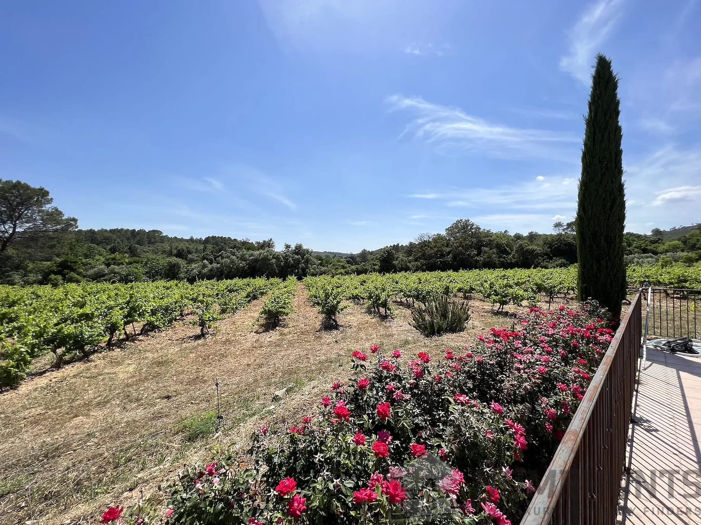 property_HH-15409024-4