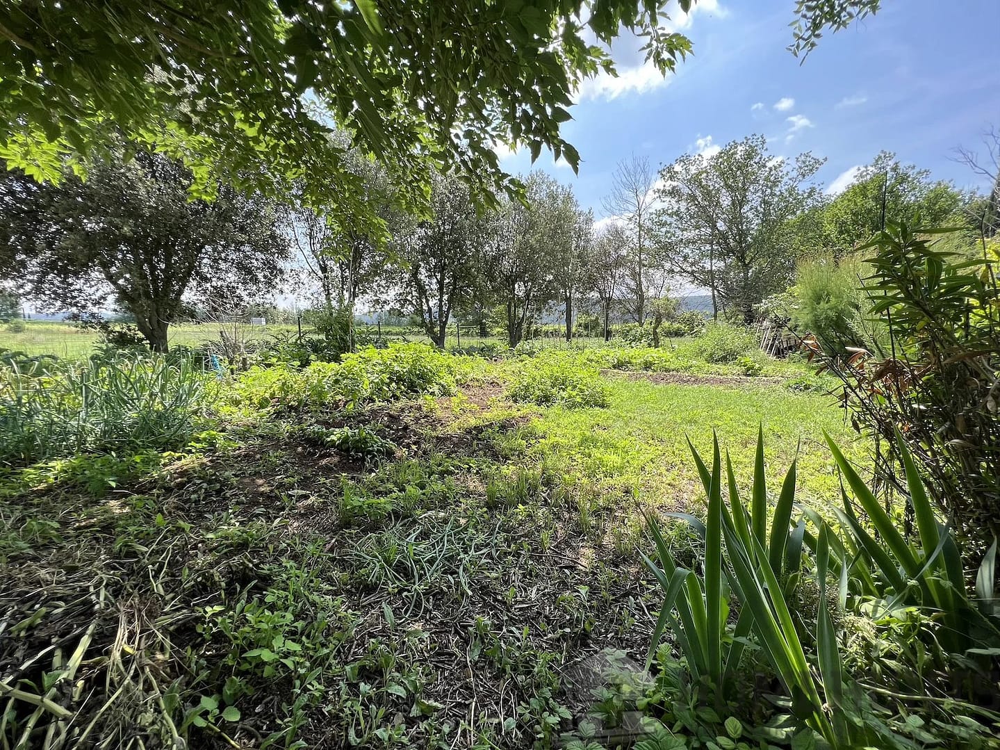 property_HH-15409338-9