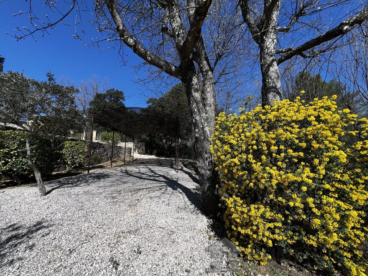 property_HH-15750387-6