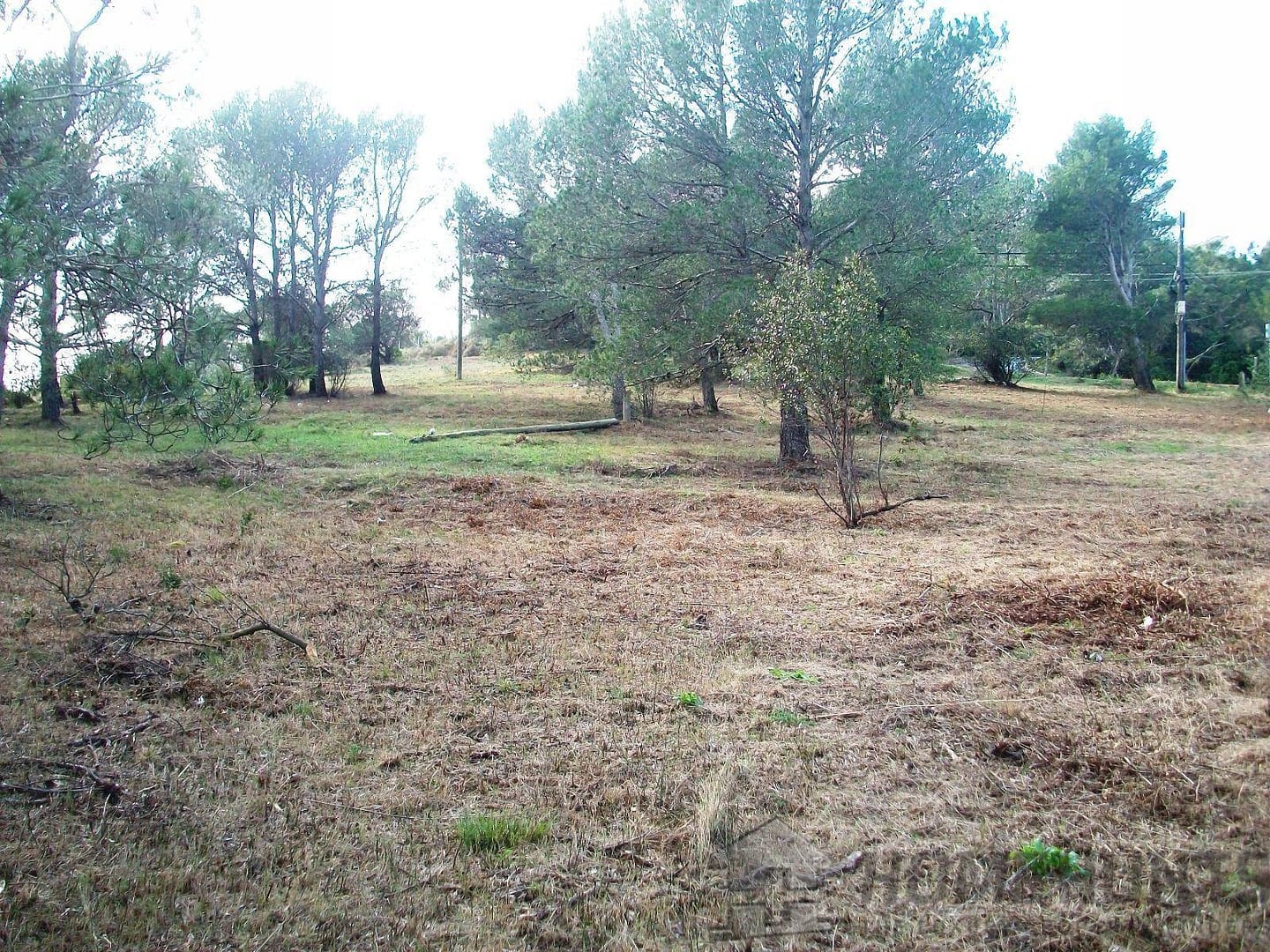 property_HH-14737023-4