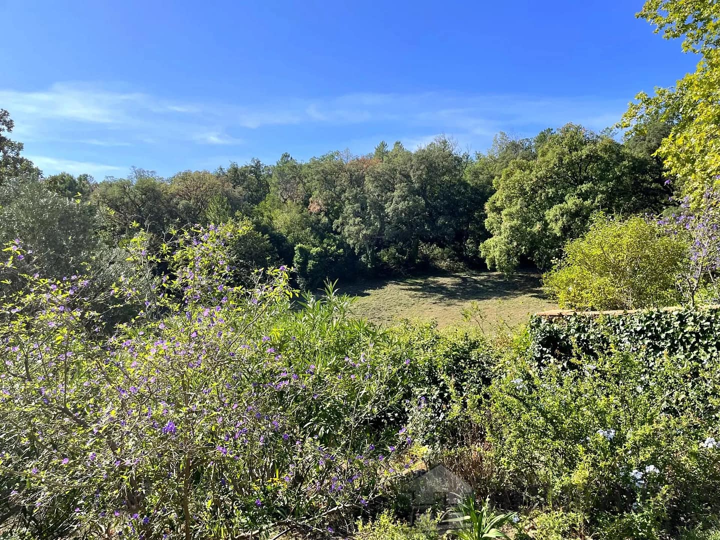 property_HH-15150290-17