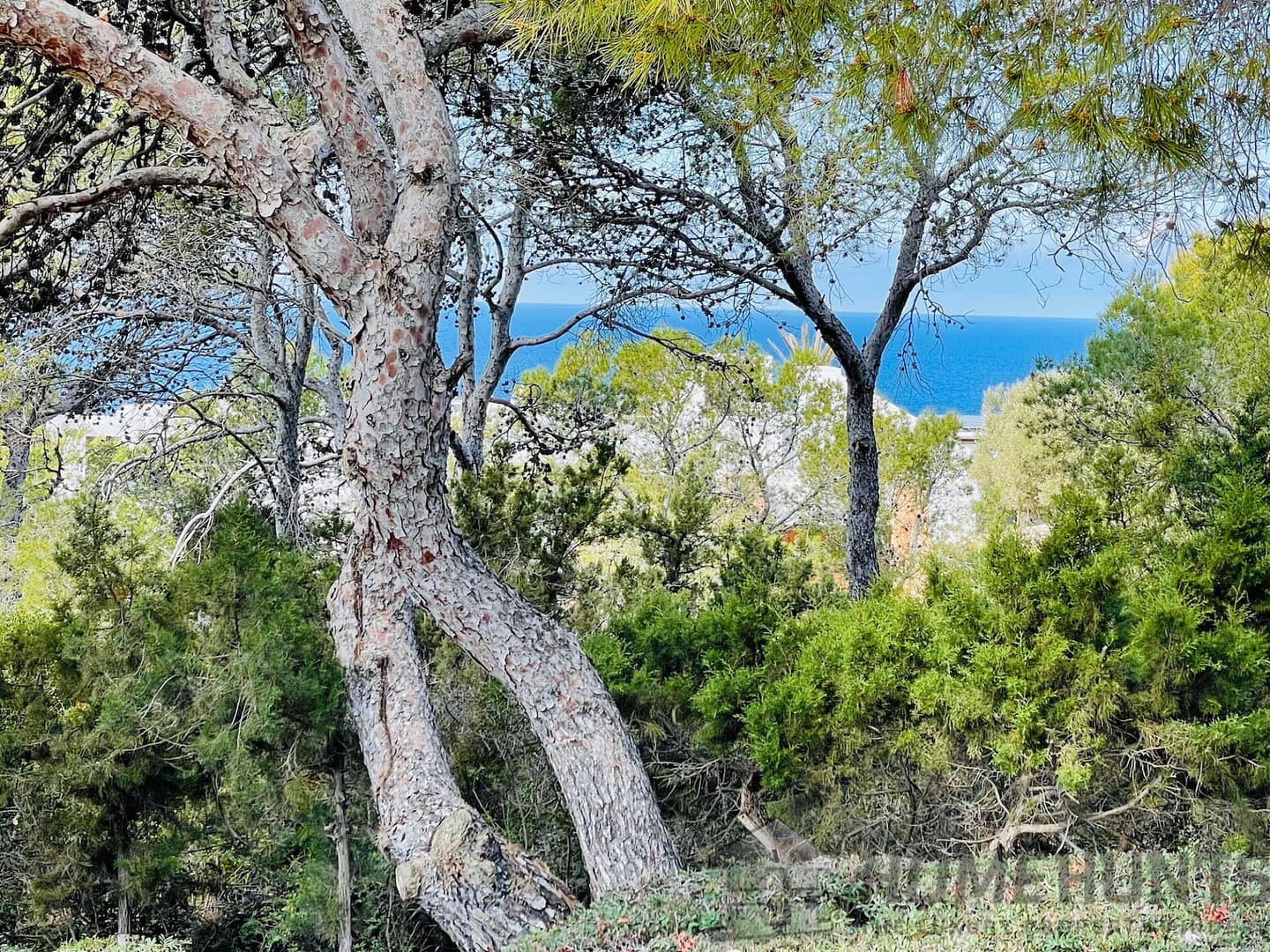 property_HH-15202393-9