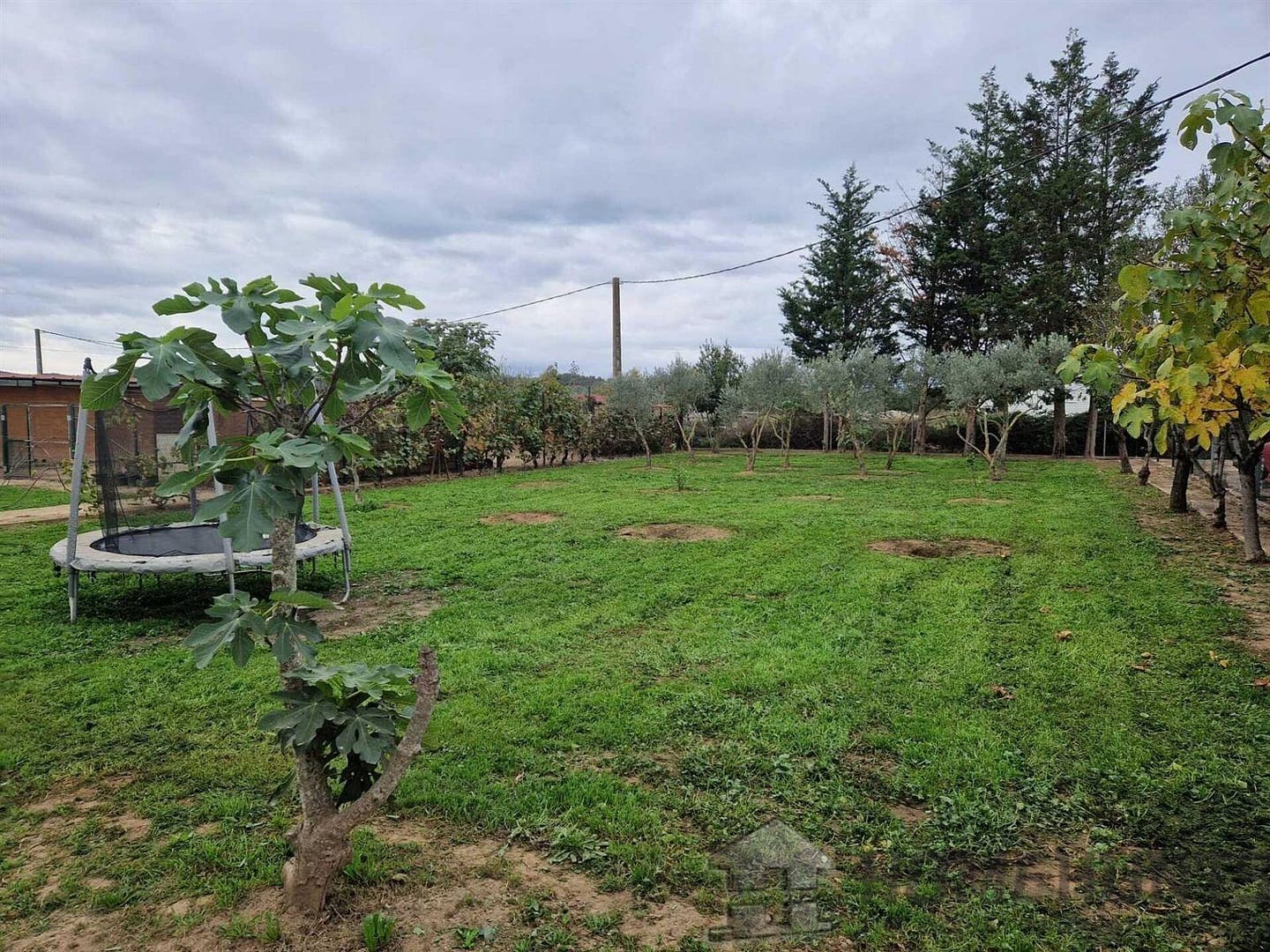 property_HH-15237091-2