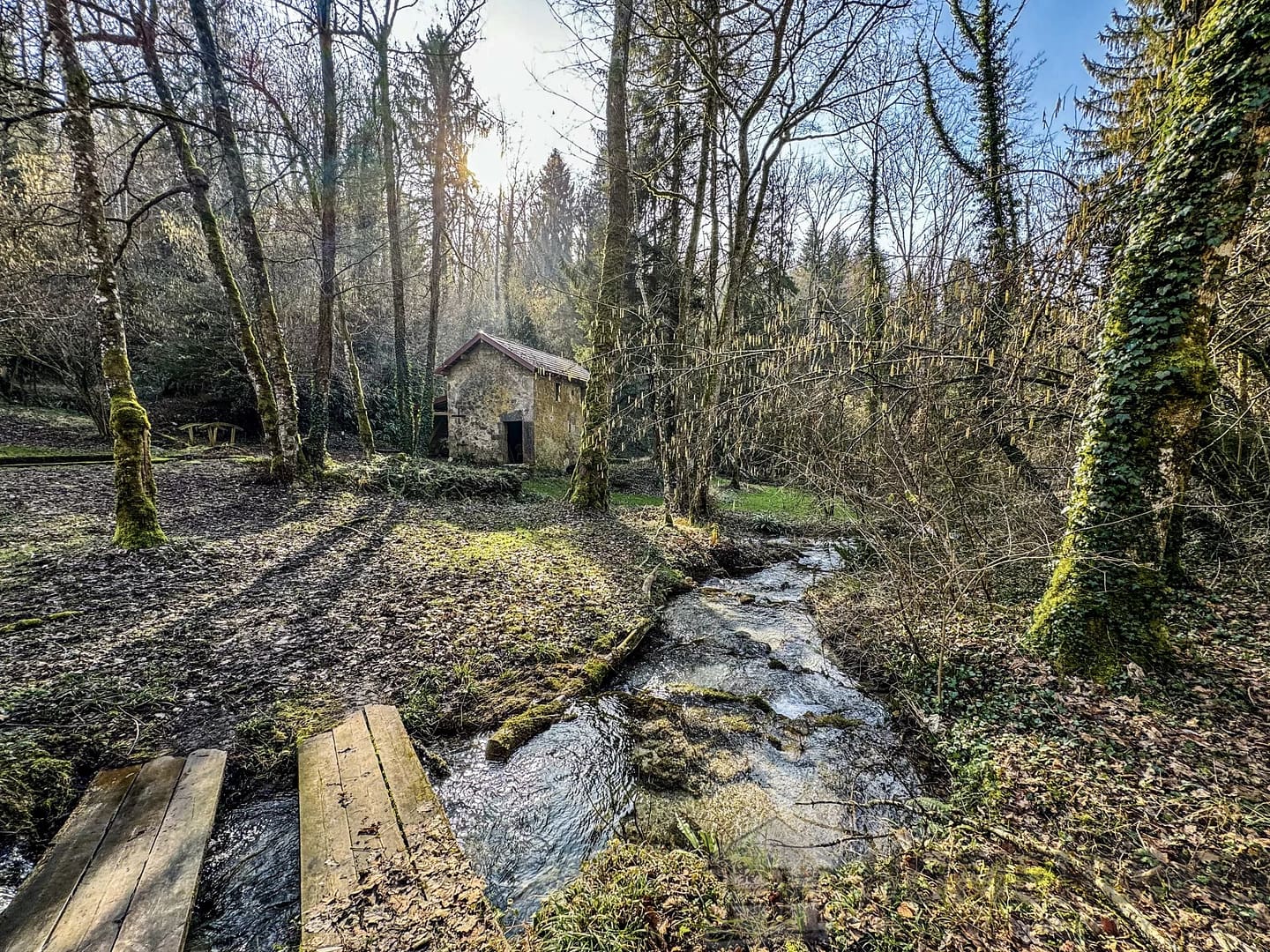 property_HH-15270254-19