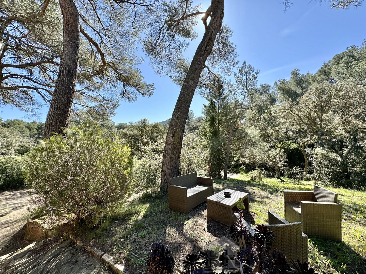 property_HH-15312906-2