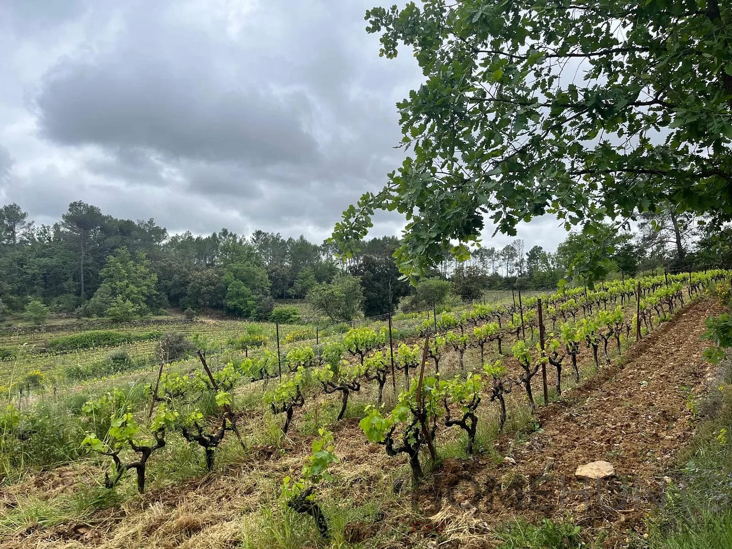 property_HH-15382652-11