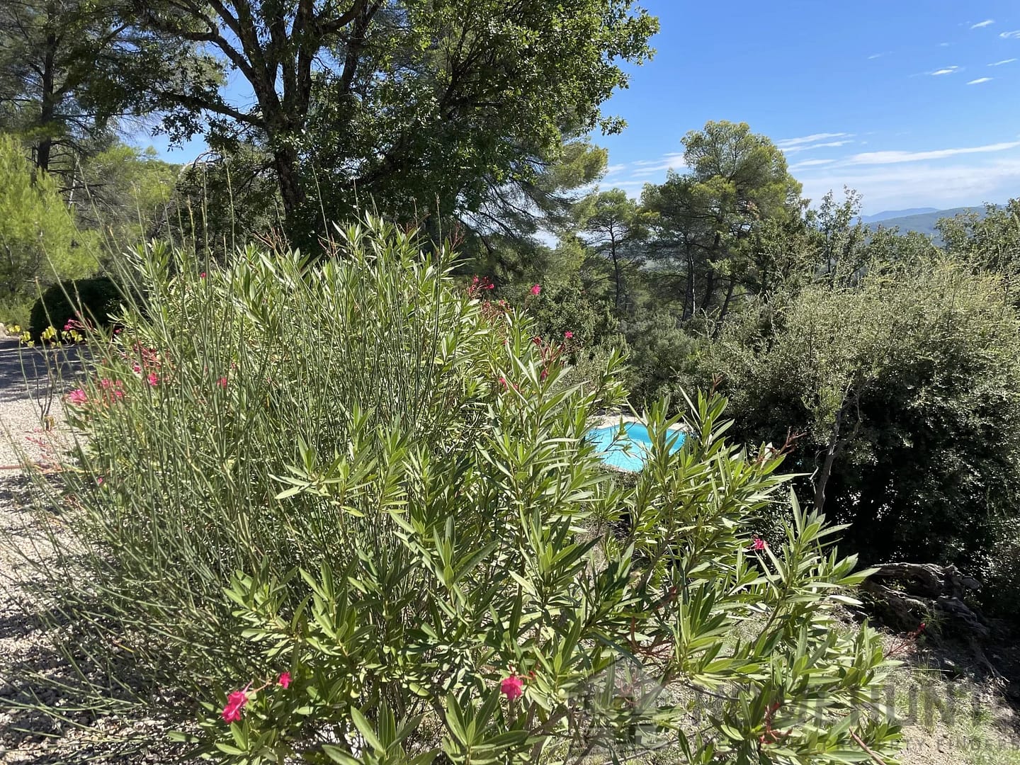 property_HH-15527904-3