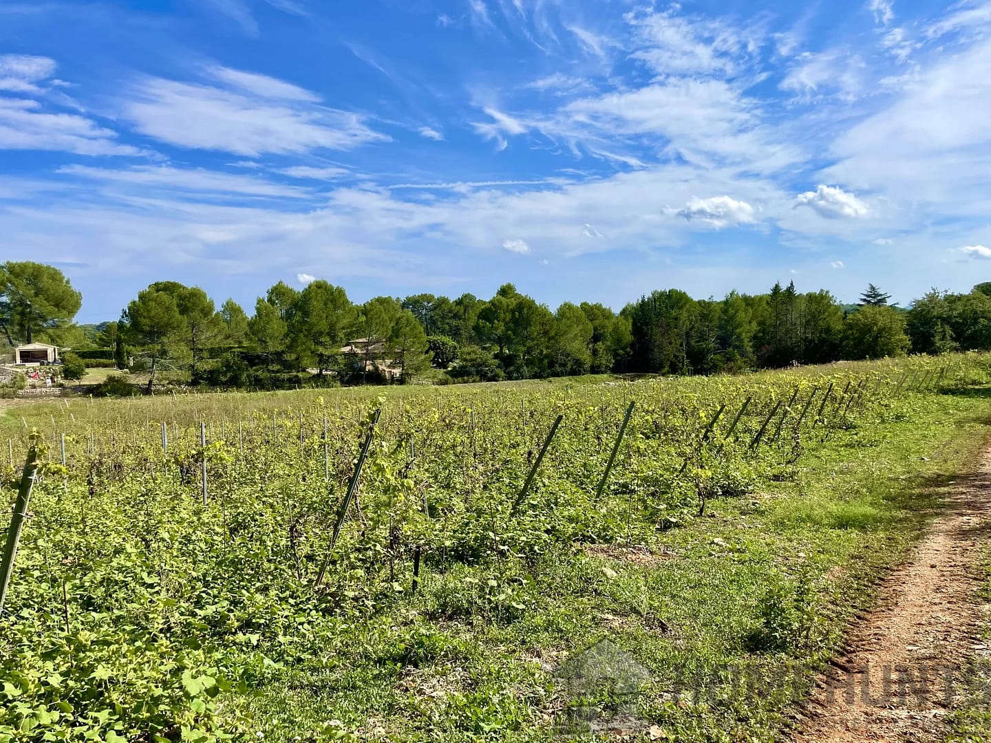 property_HH-15575396-19