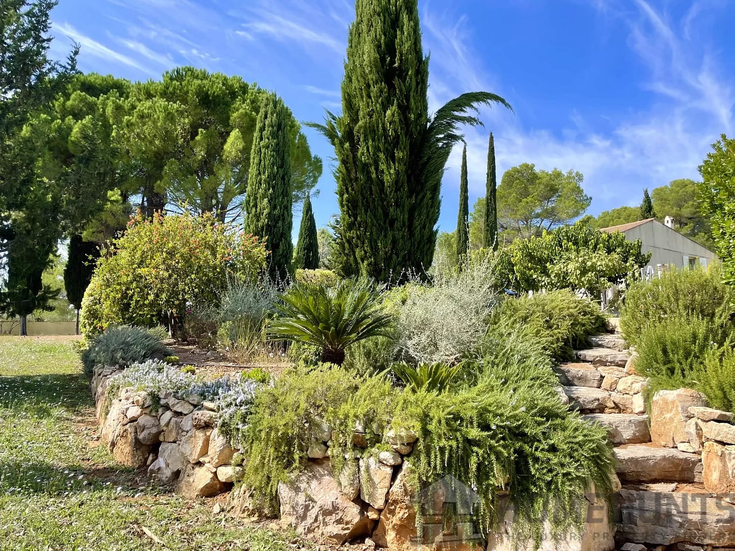 property_HH-15575396-25