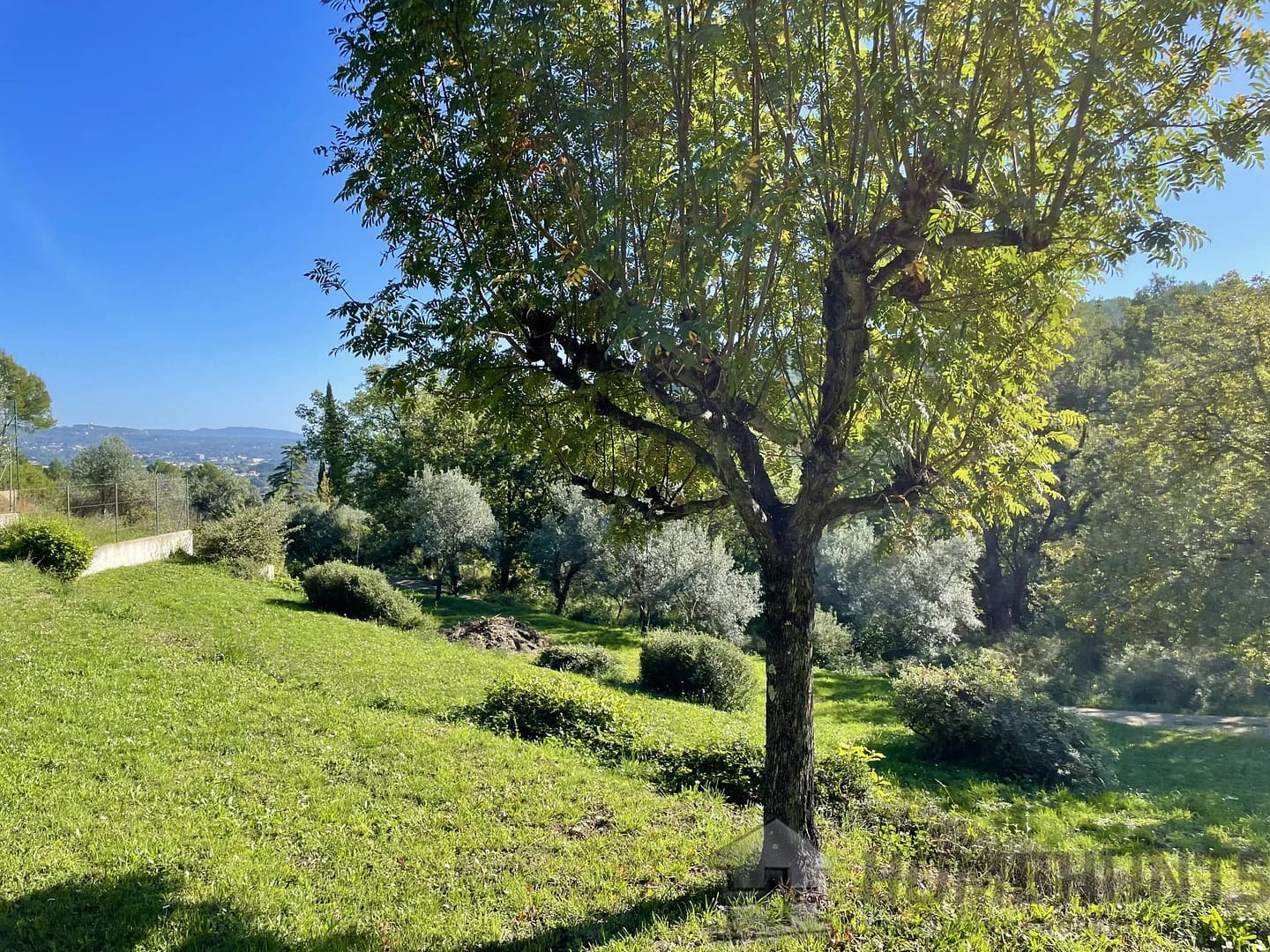 property_HH-15585892-4