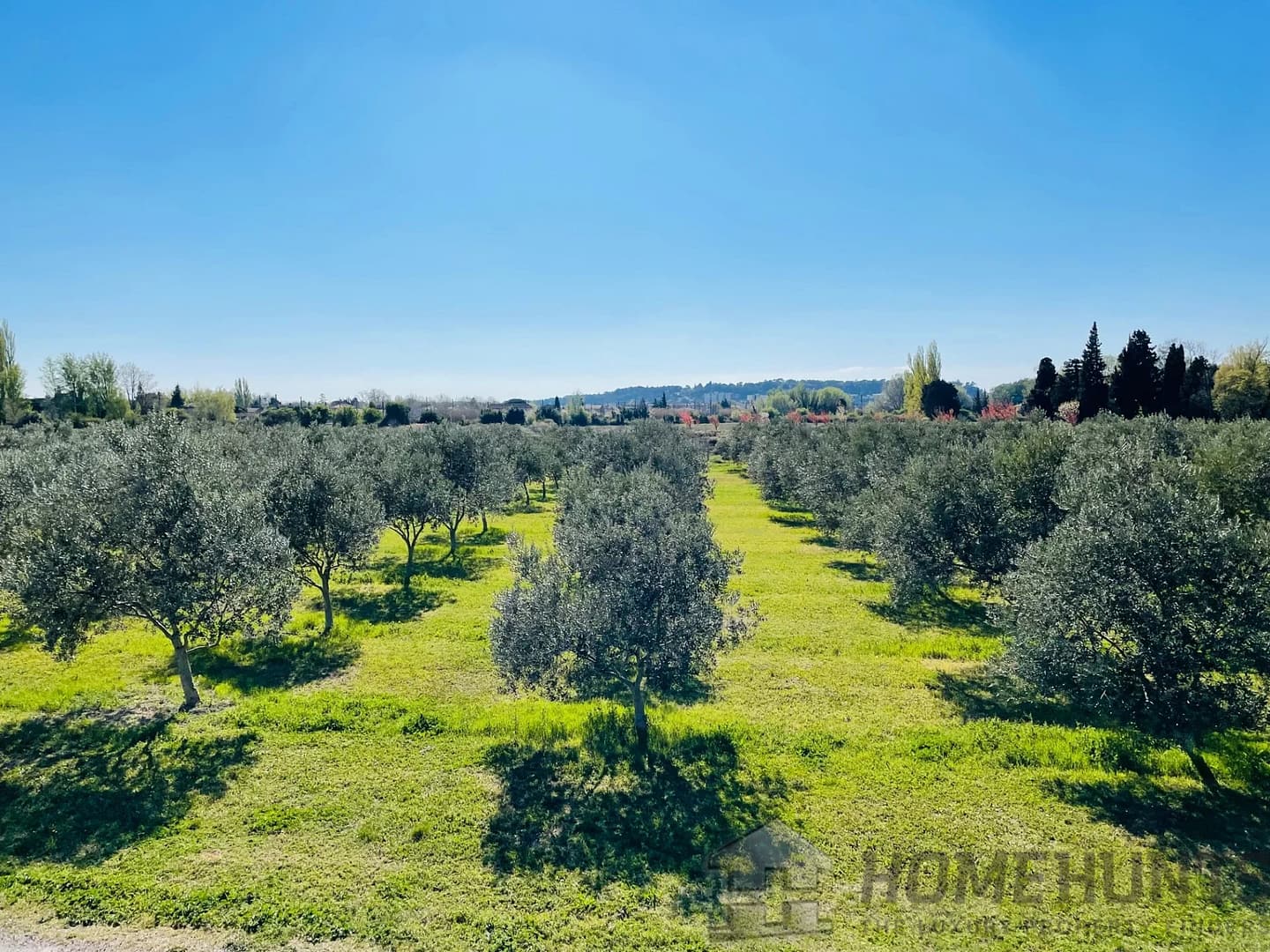 property_HH-15607266-21