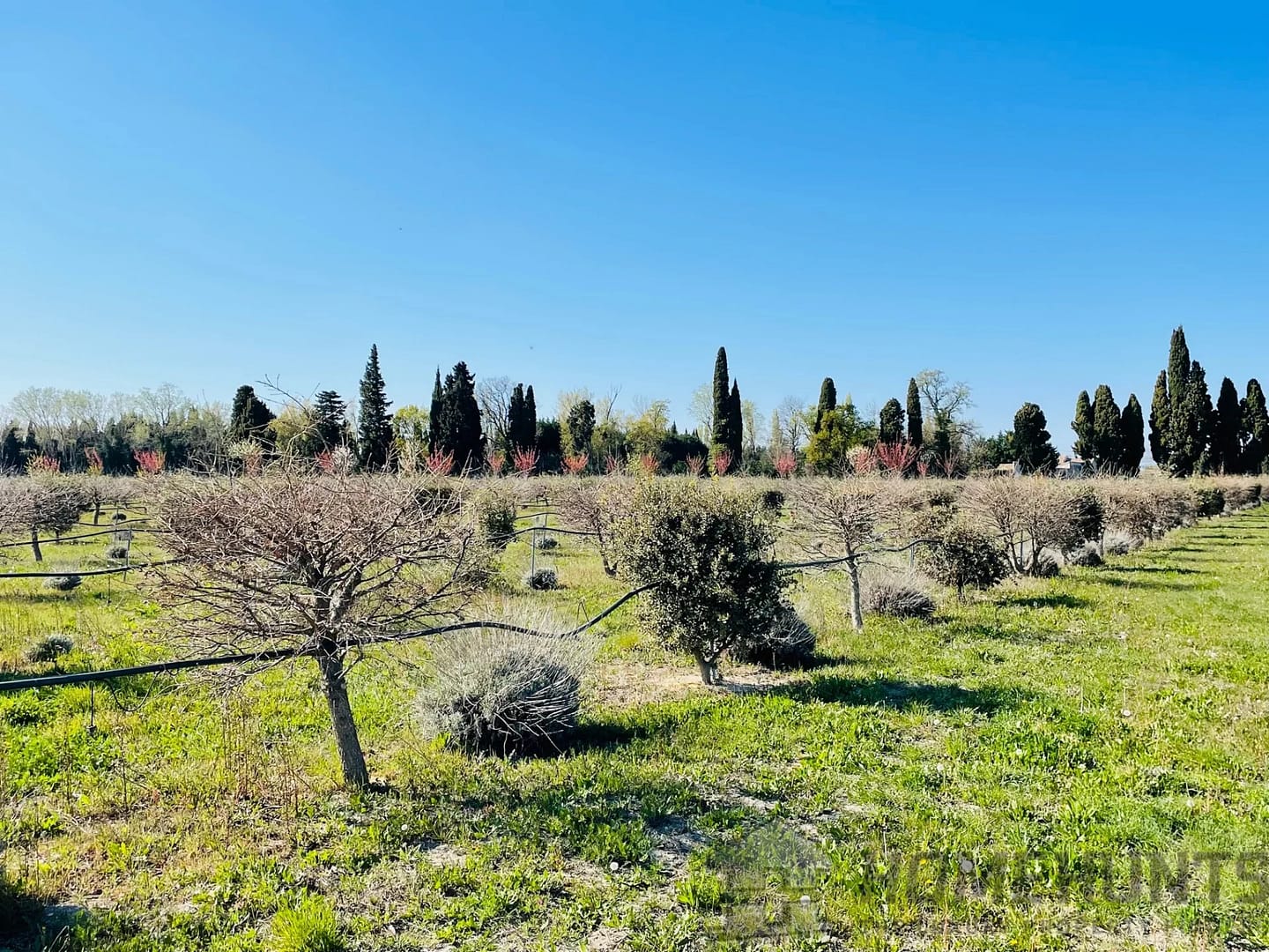 property_HH-15607266-22